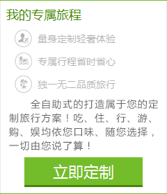 想体会专门为您定制的旅游服务吗？您的旅行顾问会帮助您！请您提交出游计划：